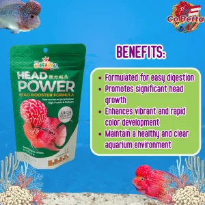 🇸🇬 Okiko Head Power Louhan Fish Pellet 100g | High Protein & Calcium for Big Rounded Forehead & Fast Growth Boost