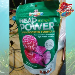 🇸🇬 Okiko Head Power Louhan Fish Pellet 100g | High Protein & Calcium for Big Rounded Forehead & Fast Growth Boost