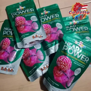 🇸🇬 Okiko Head Power Louhan Fish Pellet 100g | High Protein & Calcium for Big Rounded Forehead & Fast Growth Boost