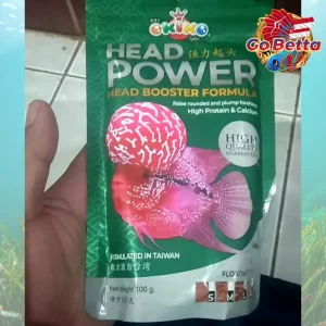 🇸🇬 Okiko Head Power Louhan Fish Pellet 100g | High Protein & Calcium for Big Rounded Forehead & Fast Growth Boost
