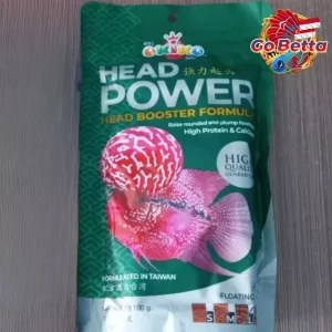 🇸🇬 Okiko Head Power Louhan Fish Pellet 100g | High Protein & Calcium for Big Rounded Forehead & Fast Growth Boost
