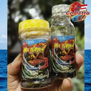 🇸🇬 ACS4 Baby Pellet for Red & Yellow Maru Channa 4–12cm  Boost Growth, Color, Bar Thickness & Fish Stamina #acs4baby