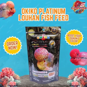 🇸🇬 Okiko Platinum Louhan Fish Pellet 100g Size S M L XL | Enhance Kok Growth, Color Brightness & Boost Fish Vitality