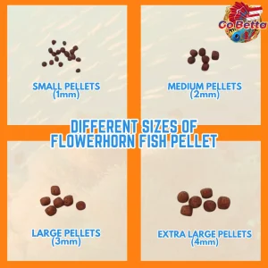 🇸🇬 Okiko Platinum Louhan Fish Pellet 100g Size S M L XL | Enhance Kok Growth, Color Brightness & Boost Fish Vitality