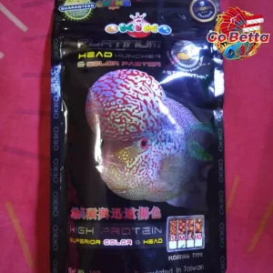 🇸🇬 Okiko Platinum Louhan Fish Pellet 100g Size S M L XL | Enhance Kok Growth, Color Brightness & Boost Fish Vitality
