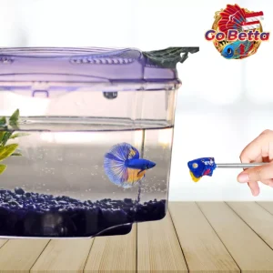 Betta Flare Stick 4D Giant Size | Premium Mental Training Tool for Fighter Fish | Enhance Aggression & Natural Instincts