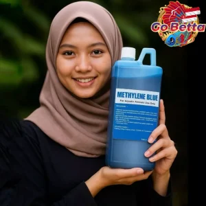 🇸🇬 Methylene Blue 1L Blitz | Premium Fish Fungus Treatment & Disinfectant | Safe for Predator & Aquarium Fish Care