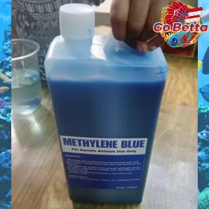 🇸🇬 Methylene Blue 1L Blitz | Premium Fish Fungus Treatment & Disinfectant | Safe for Predator & Aquarium Fish Care