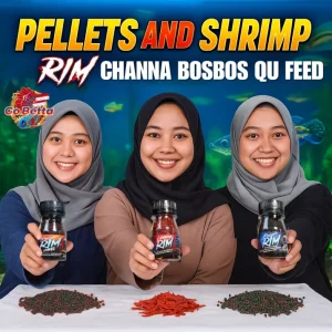 🇸🇬 Premium Pelet and Shrimp Fish Food for Channa | High Protein Predator Fish Feed Bos Bos QU Nutrient Rich Pellets