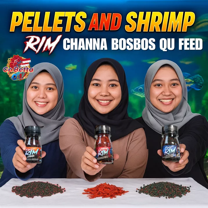 🇸🇬 Premium Pelet and Shrimp Fish Food for Channa | High Protein Predator Fish Feed Bos Bos QU Nutrient Rich Pellets