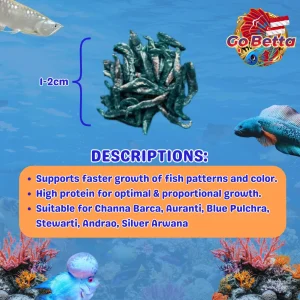 🇸🇬 Udang Kering Pro++ 50gr Blue Booster for Baby Fish 5-20CM | High Protein Growth Feed | El Barca Premium Aquatic Food