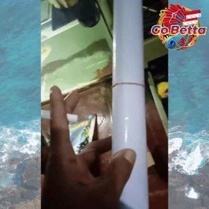 🇸🇬 Premium Aquarium Background Sticker | Waterproof Vinyl DIY Easy Install | For Fish Tank Decoration