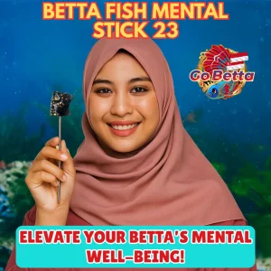 🇸🇬 Premium Giant Betta Flare Stick 4D | Mental Training Stick for Cupang Fighting Fish | Aquarium Fish Accessory