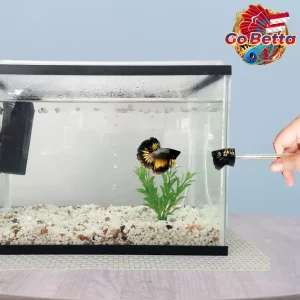 🇸🇬 Premium Giant Betta Flare Stick 4D | Mental Training Stick for Cupang Fighting Fish | Aquarium Fish Accessory