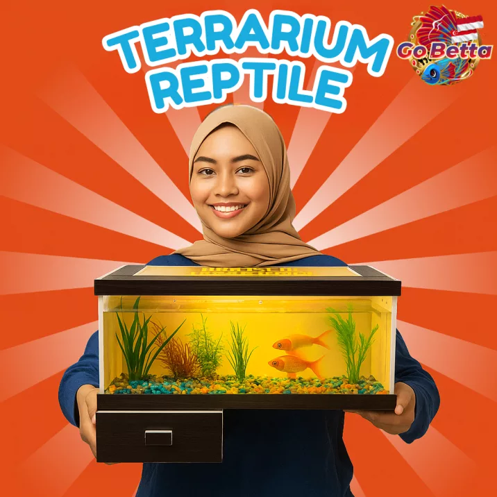 Reptile Terrarium 40x20x23 with Drawer | Full Set incl LED Light | PVC Board & Acrylic Enclosure for Gecko Snake Lizard