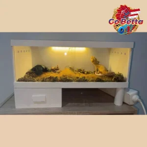 Reptile Terrarium 40x20x23 with Drawer | Full Set incl LED Light | PVC Board & Acrylic Enclosure for Gecko Snake Lizard