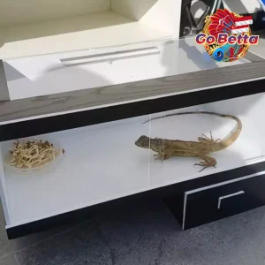 Reptile Terrarium 40x20x23 with Drawer | Full Set incl LED Light | PVC Board & Acrylic Enclosure for Gecko Snake Lizard