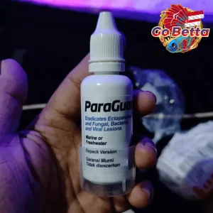 Seachem ParaGuard 30ml Fish Parasite Treatment White Spot Fin Rot Fungus Remedy Safe Aquarium Quarantine Care
