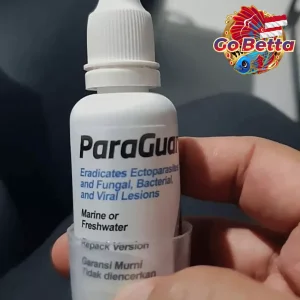 Seachem ParaGuard 30ml Fish Parasite Treatment White Spot Fin Rot Fungus Remedy Safe Aquarium Quarantine Care