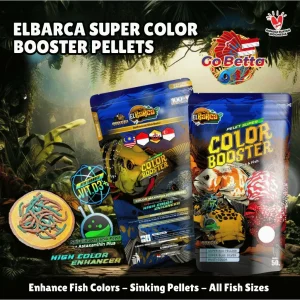Super Color Booster Pellets | Enhance Red, Blue & White Fish Coloration | High Protein & Carotenoid Feed for Channa