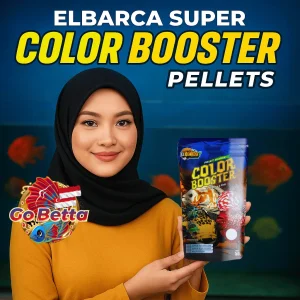 Super Color Booster Pellets | Enhance Red, Blue & White Fish Coloration | High Protein & Carotenoid Feed for Channa