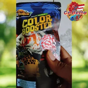 Super Color Booster Pellets | Enhance Red, Blue & White Fish Coloration | High Protein & Carotenoid Feed for Channa