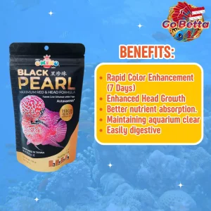 🇸🇬 Okiko Black Pearl Louhan Fish Pellet 100g | Max Red & Head Growth Formula | Enhance Kok Size & Color Brightness Fast