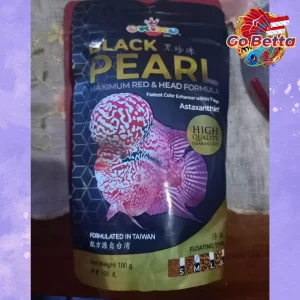 🇸🇬 Okiko Black Pearl Louhan Fish Pellet 100g | Max Red & Head Growth Formula | Enhance Kok Size & Color Brightness Fast