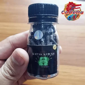 Fish Food Premium Field Frog Pellets | Natural Nutrition Color Boost & Bone Growth Support for Channa Predator Fish