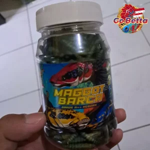 MAGGOT BARCA SUPER BLUE Fish Feed – Enhance Blue, White & Silver Color for Channa, Predator Fish | Premium Dry Maggot