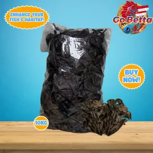 Fermented Ketapang Leaf 1kg for Betta Channa Arowana – Premium Dried Indian Almond Leaves Soft Ready to Use for Aquarium