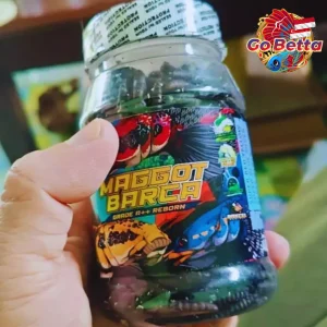 🇸🇬 MAGGOT BARCA SUPER BLACK Fish Feed 40g Boost Flower Line & Marking for Channa, Predator Fish, Enhance Dot Color Solid