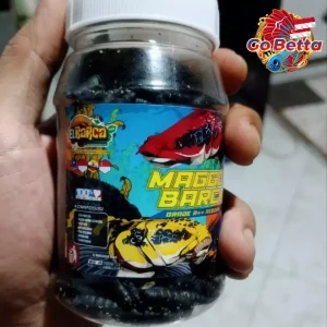 🇸🇬 MAGGOT BARCA SUPER BLACK Fish Feed 40g Boost Flower Line & Marking for Channa, Predator Fish, Enhance Dot Color Solid