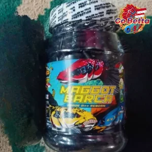 🇸🇬 MAGGOT BARCA SUPER BLACK Fish Feed 40g Boost Flower Line & Marking for Channa, Predator Fish, Enhance Dot Color Solid