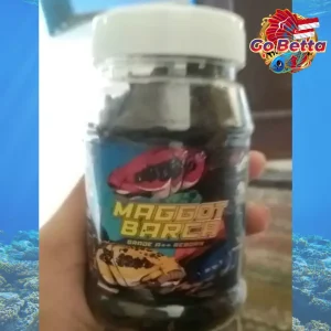 🇸🇬 MAGGOT BARCA SUPER BLACK Fish Feed 40g Boost Flower Line & Marking for Channa, Predator Fish, Enhance Dot Color Solid