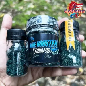 Channa Blue Booster Pellet Fast Color Enhancement for Auranti Pulcra Stewarti Premium Floating Fish Food Quick Results
