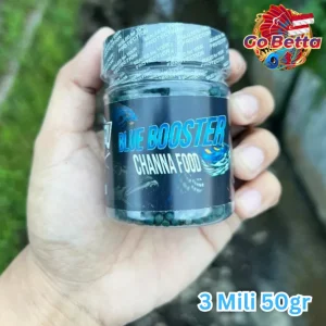 Channa Blue Booster Pellet Fast Color Enhancement for Auranti Pulcra Stewarti Premium Floating Fish Food Quick Results