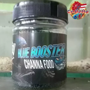 Channa Blue Booster Pellet Fast Color Enhancement for Auranti Pulcra Stewarti Premium Floating Fish Food Quick Results