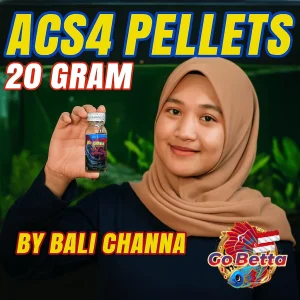 Channa Maru Pellets ACS4 | Premium Fish Food for Growth & Color Fast Flowering & Thick Bars 20g 40g Original Bali Channa