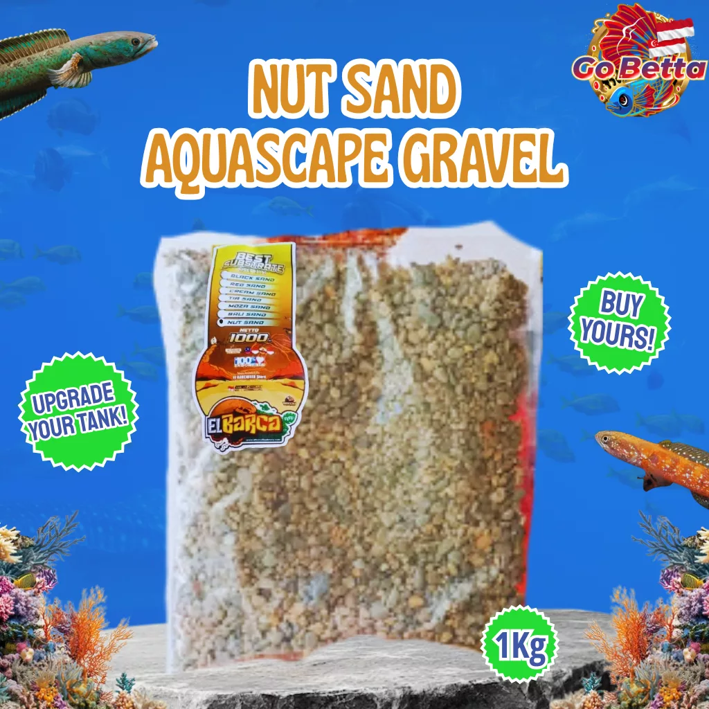 Aquascape Premium Nut Sand for Aquarium | Ultra Fine Pasir Malang TIA Moza Blend for Betta, Shrimp, Biotope, Paludarium