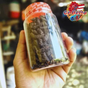 ACS4 Pellets for Channa Maru | 100g Fast Growth Fish Food | Enhances Color, Fins & Pearling | Premium Diet for Channa