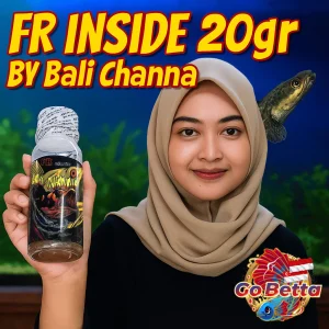 Channa Fish Food FR Inside 20g | Red & Orange Color Booster | Premium Formula for Maru Fast Result Kontes Ready