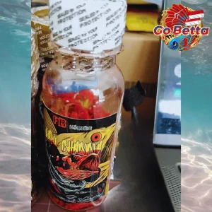 Channa Fish Food FR Inside 20g | Red & Orange Color Booster | Premium Formula for Maru Fast Result Kontes Ready
