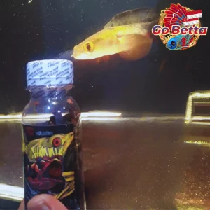 Channa Fish Food FR Inside 20g | Red & Orange Color Booster | Premium Formula for Maru Fast Result Kontes Ready