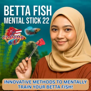 Betta Flare Stick 4D Giant Cupang Training | Premium Mental Stick for Fighting Fish | Best Seller Aquarium Accessory