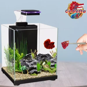 Betta Flare Stick 4D Giant Cupang Training | Premium Mental Stick for Fighting Fish | Best Seller Aquarium Accessory