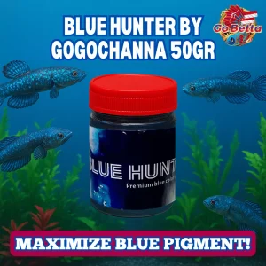 Fish Food Blue Hunter 50g | Blue Pellet Color Enhancer for Channa, Auranti, Pulchra, Andrao, Stewarti Natural Nutrition
