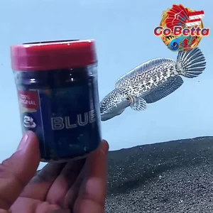 Fish Food Blue Hunter 50g | Blue Pellet Color Enhancer for Channa, Auranti, Pulchra, Andrao, Stewarti Natural Nutrition