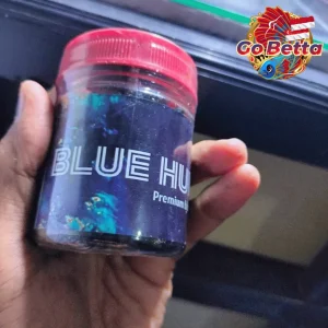 Fish Food Blue Hunter 50g | Blue Pellet Color Enhancer for Channa, Auranti, Pulchra, Andrao, Stewarti Natural Nutrition