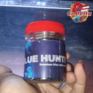 Fish Food Blue Hunter 50g | Blue Pellet Color Enhancer for Channa, Auranti, Pulchra, Andrao, Stewarti Natural Nutrition